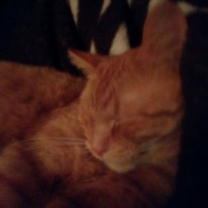 Meet your Posher, Rebecca